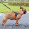 Breathable Nylon Mesh Dog Harness Reflective Adjustable Dog Harness and Leash Set For Dogs Pet Collar Leash Dog Accessories